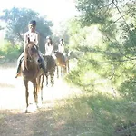 מלון Apollon 2*