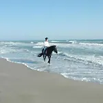 מלון Apollon