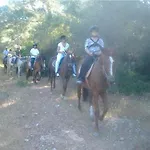 Apollon מלון