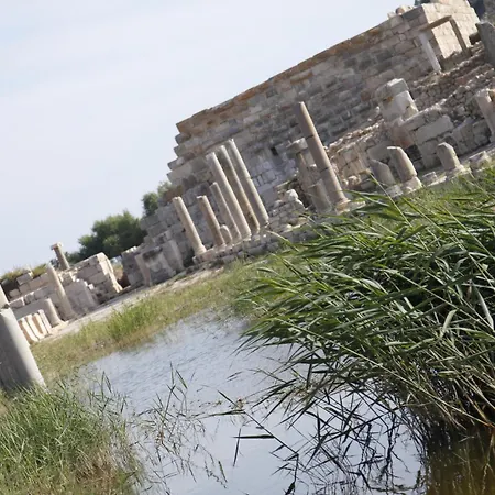 Apollon Патара