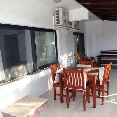 Apollon 2* パタラ