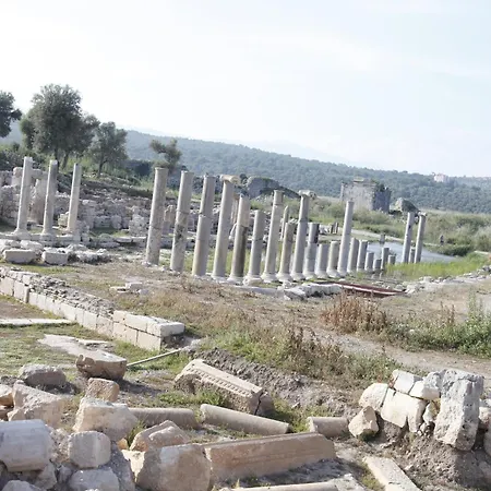 Apollon
